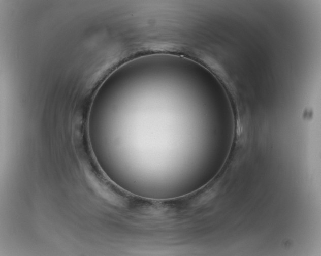 X0000114640201200910201450