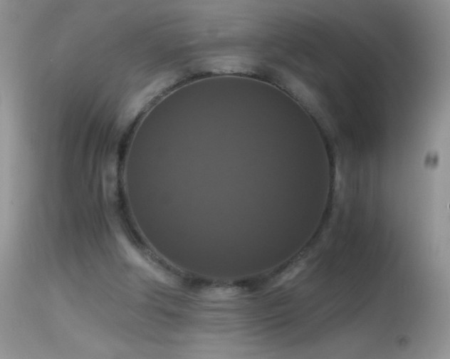 X0000114640202200910201450