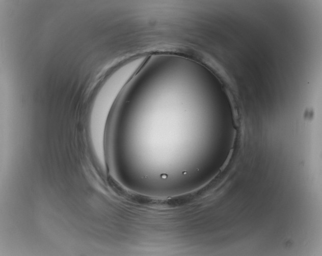 X0000114640203200910201450