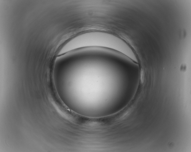 X0000114640205200910201450
