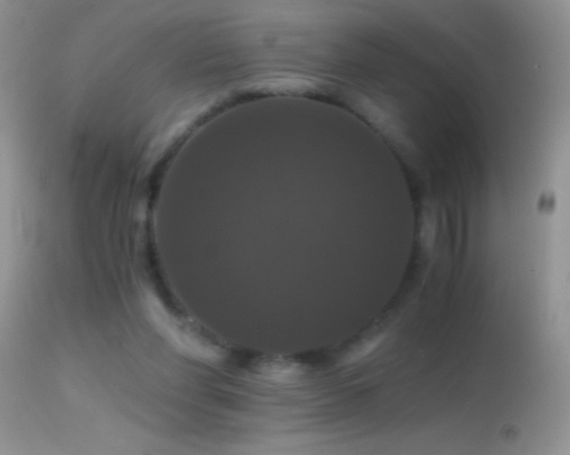 X0000114640206200910201450