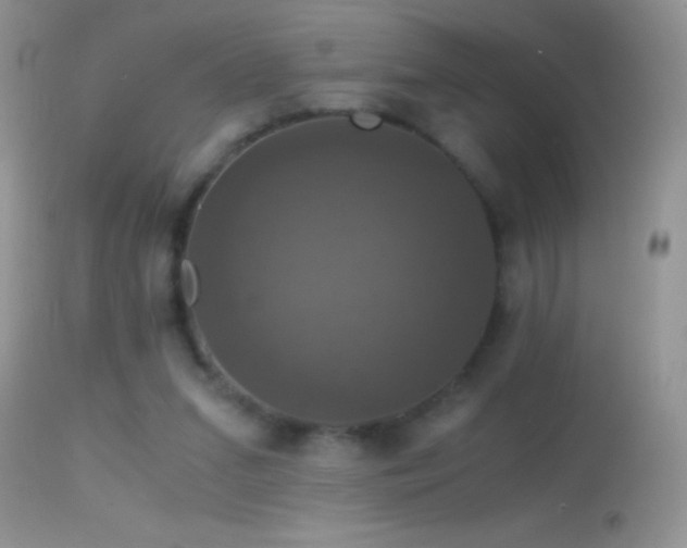 X0000114640207200910201450