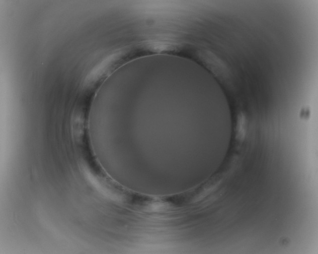 X0000114640210200910201450