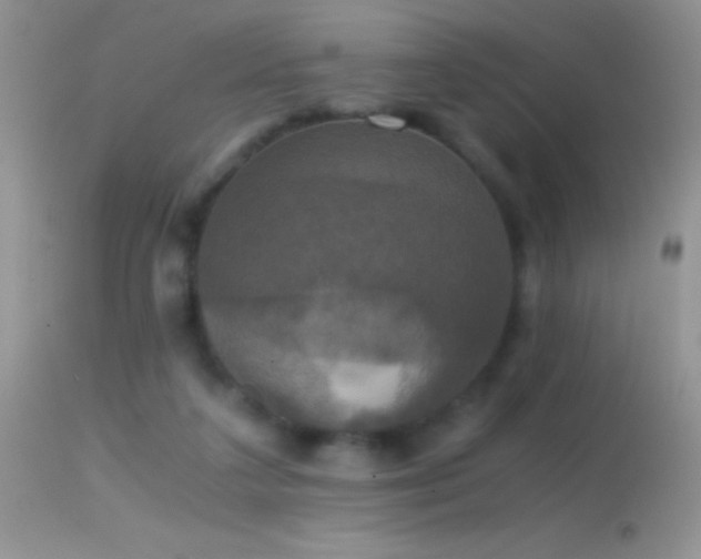 X0000114640211200910201450