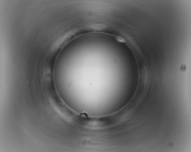 X0000114640212200910201450