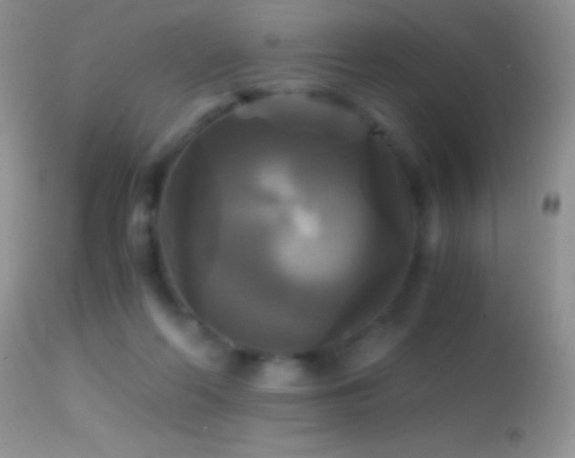 X0000114640214200910201450