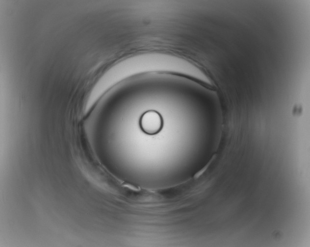 X0000114640215200910201450