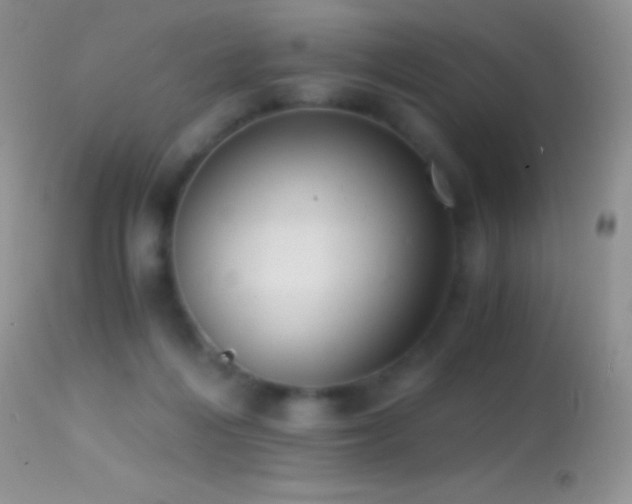 X0000114640216200910201450