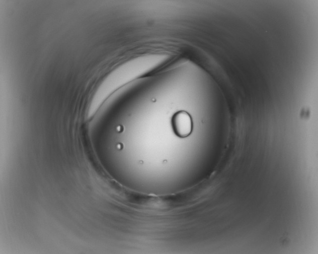 X0000114640217200910201450