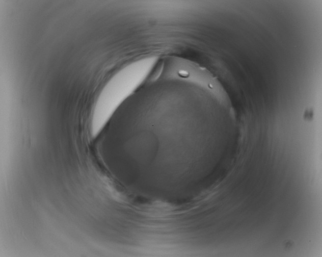X0000114640219200910201450
