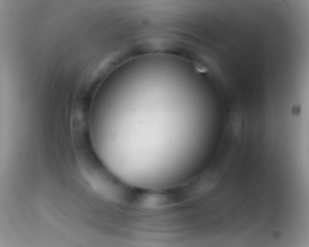 X0000114640220200910201450