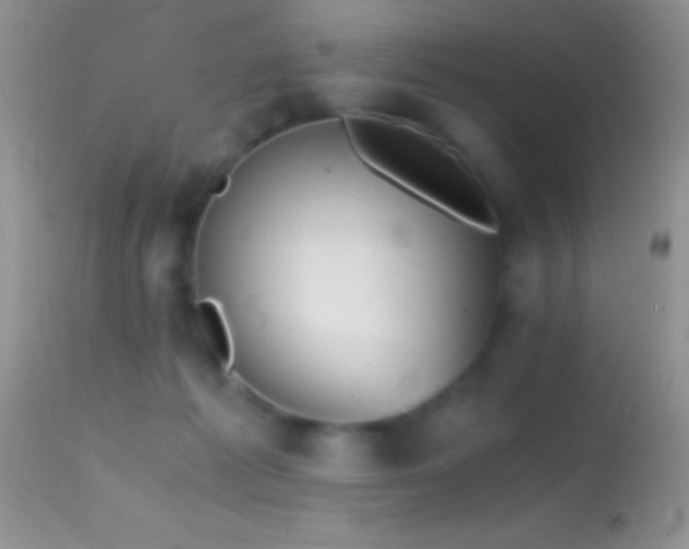 X0000114640221200910201450