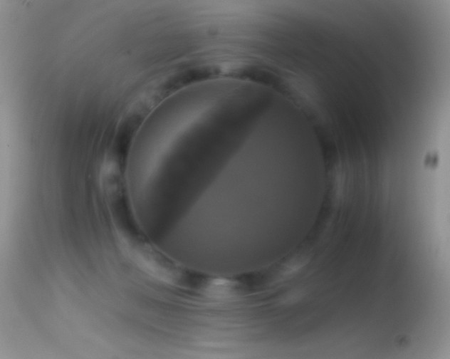 X0000114640222200910201450