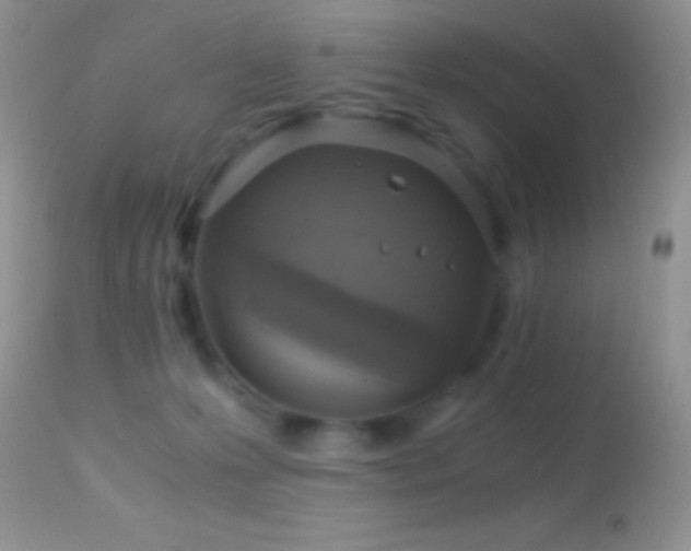 X0000114640223200910201450