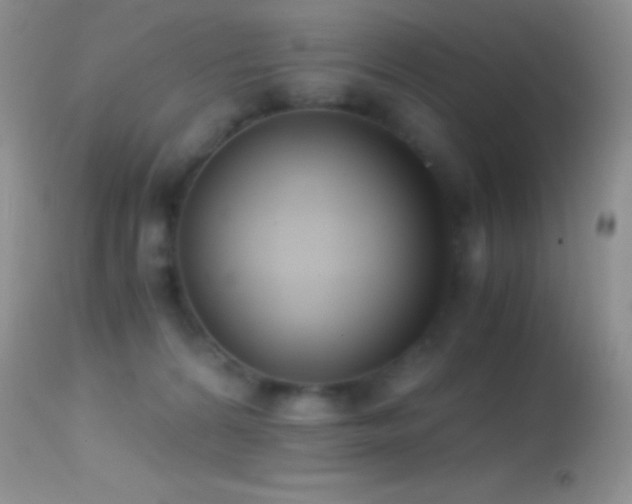 X0000114640224200910201450
