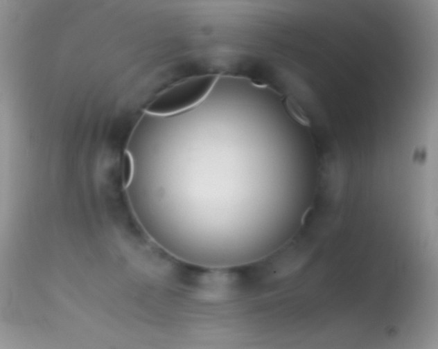 X0000114640225200910201450
