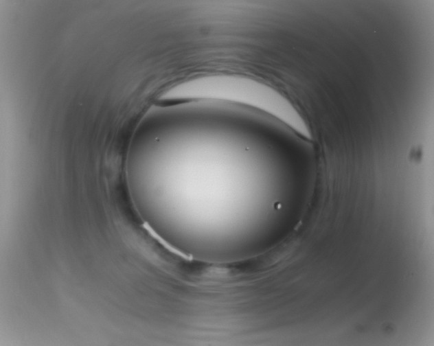 X0000114640227200910201450