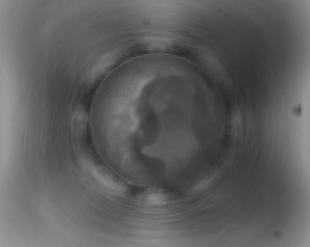 X0000114640228200910201450