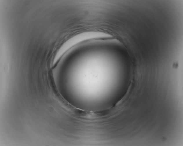 X0000114640229200910201450