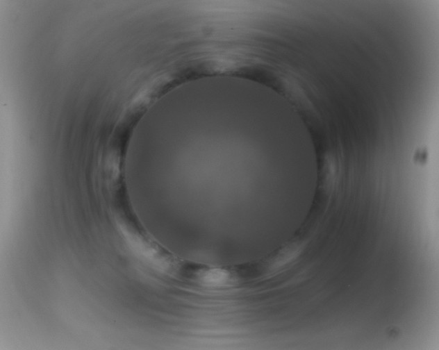 X0000114640230200910201450