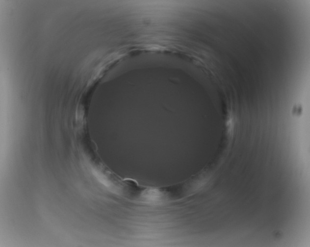 X0000114640231200910201450