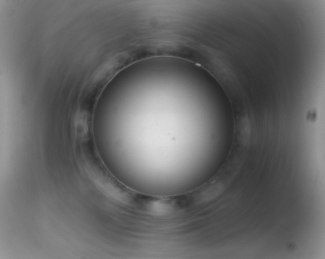 X0000114640232200910201450