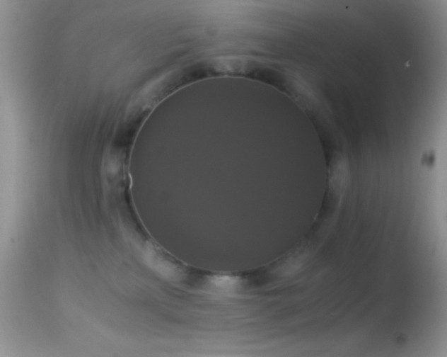 X0000114640233200910201450