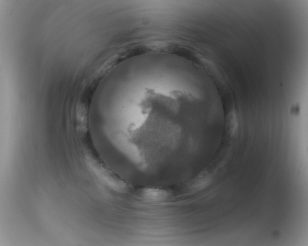 X0000114640234200910201450