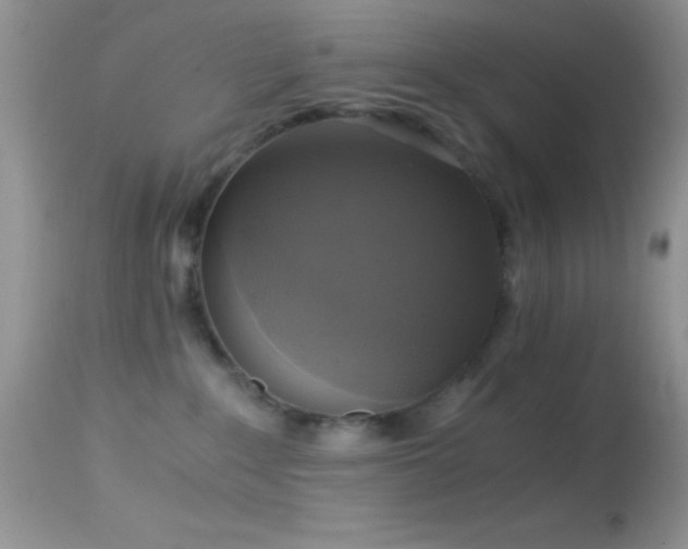 X0000114640235200910201449