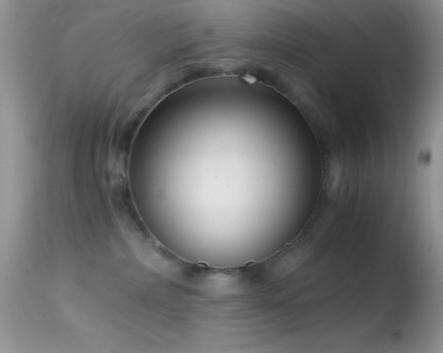 X0000114640236200910201449