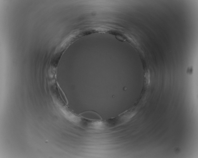 X0000114640237200910201449