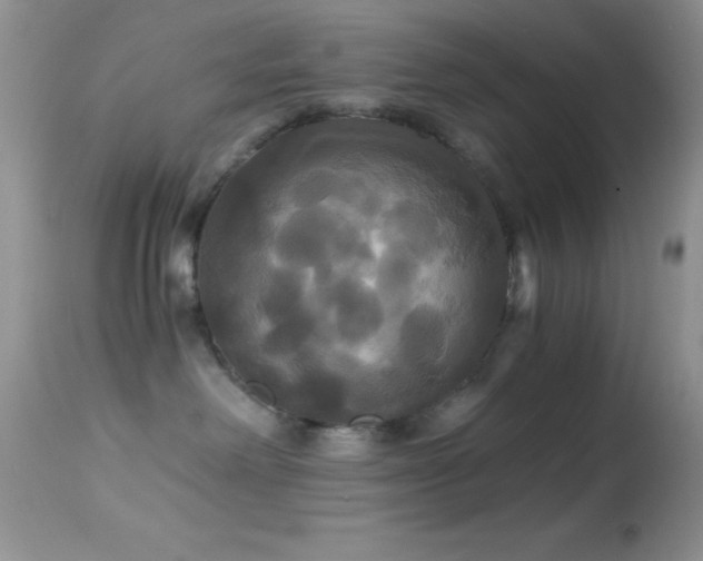 X0000114640238200910201449