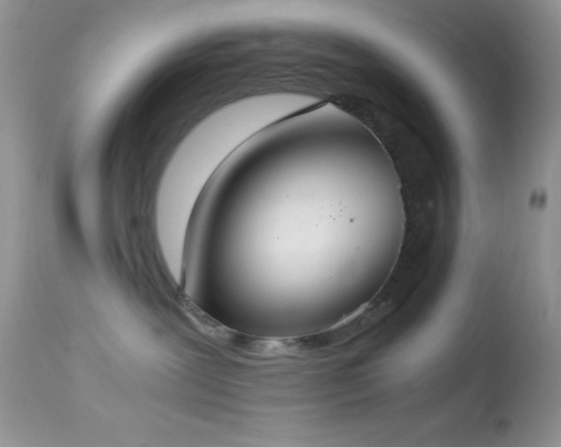 X0000114640239200910201449