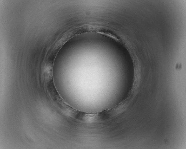 X0000114640240200910201449