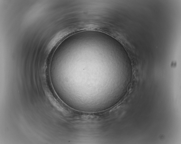 X0000114640242200910201449