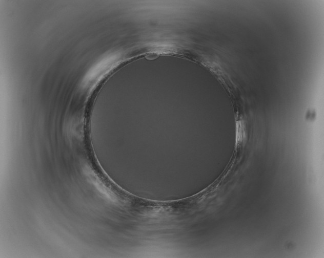 X0000114640243200910201449