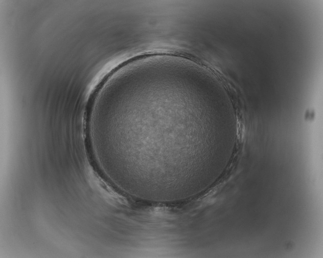 X0000114640244200910201449