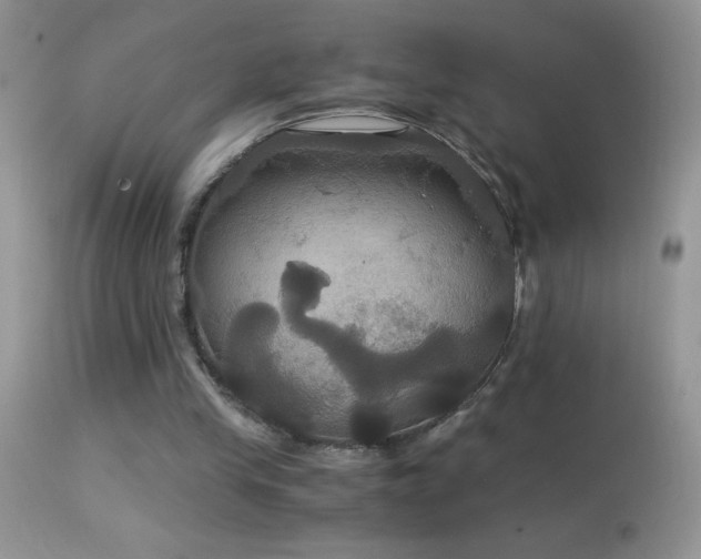 X0000114640245200910201449