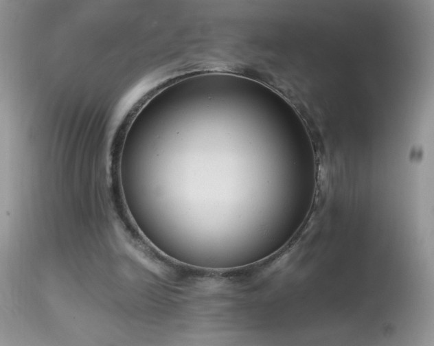 X0000114640246200910201449