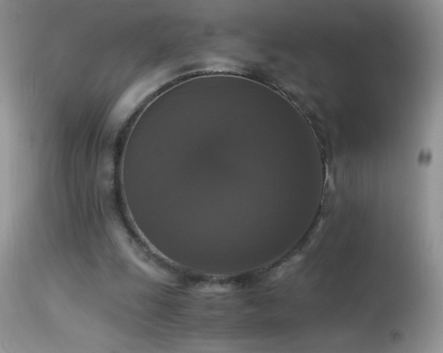 X0000114640247200910201449
