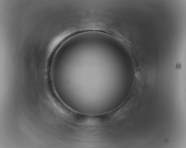 X0000114640248200910201449