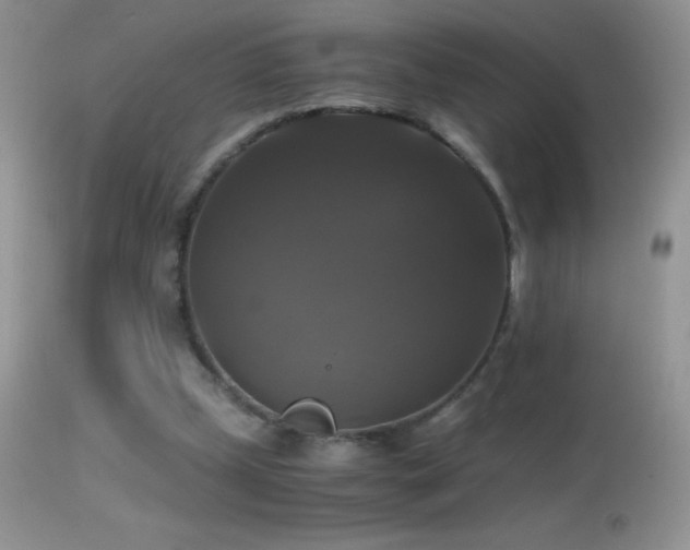 X0000114640249200910201449