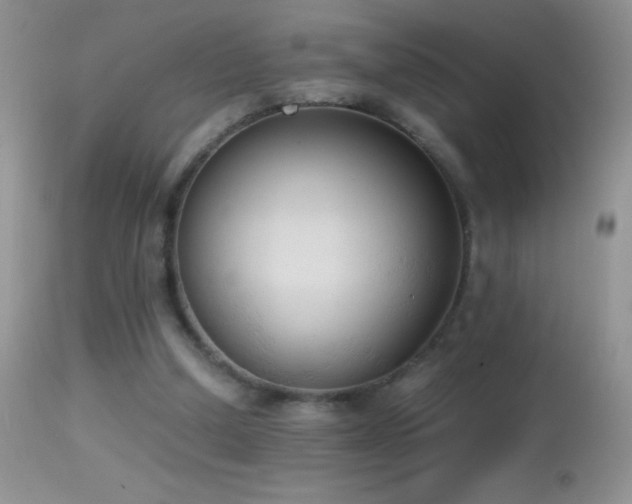 X0000114640250200910201449