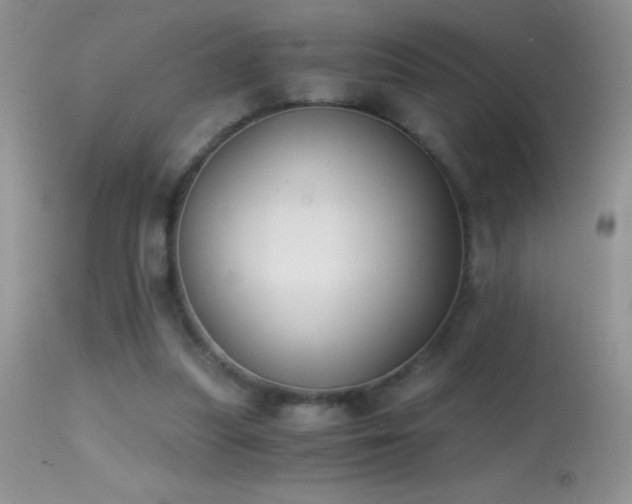 X0000114640251200910201449