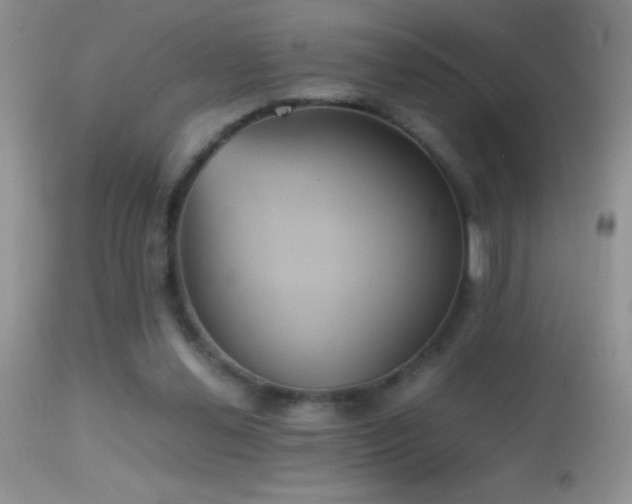 X0000114640252200910201449