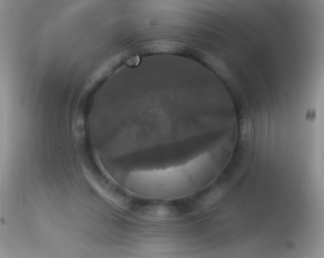 X0000114640254200910201449