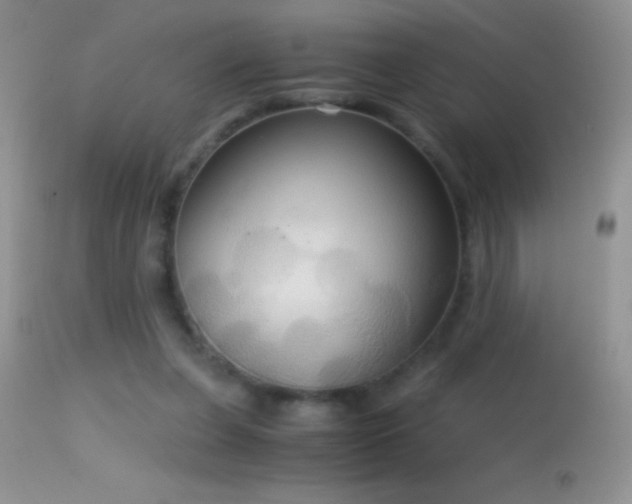 X0000114640255200910201449