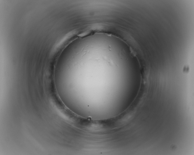 X0000114640256200910201449