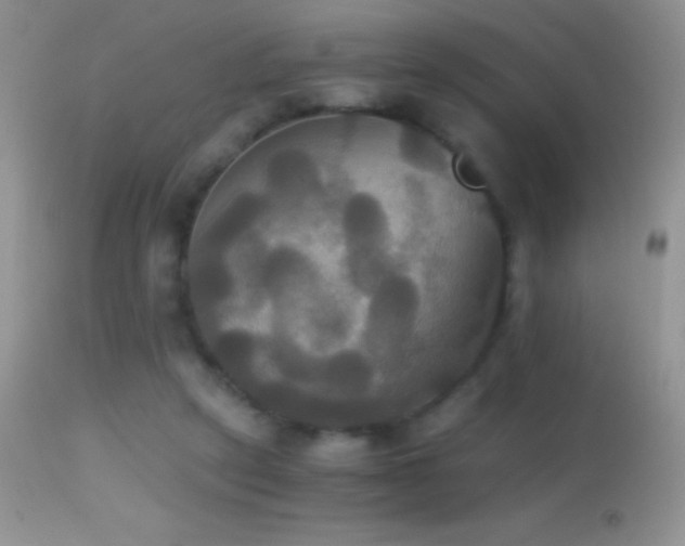 X0000114640257200910201449