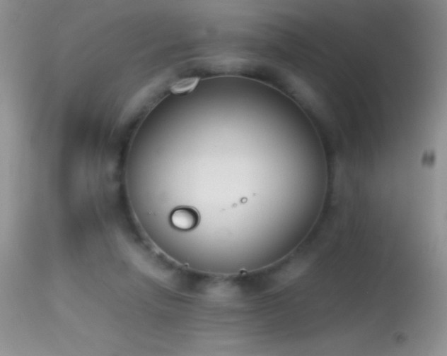 X0000114640258200910201449